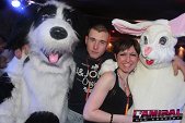 photo 10794439.jpg